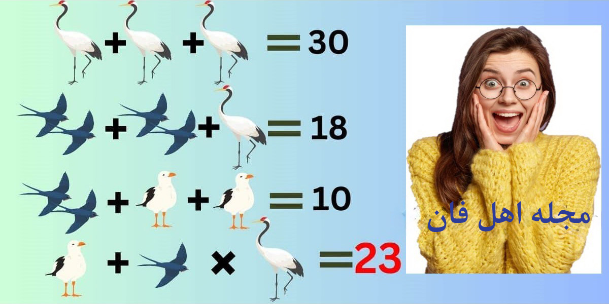 آزمون ریاضی با ارزش پرندگان-2