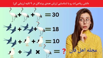 آزمون ریاضی با ارزش پرندگان