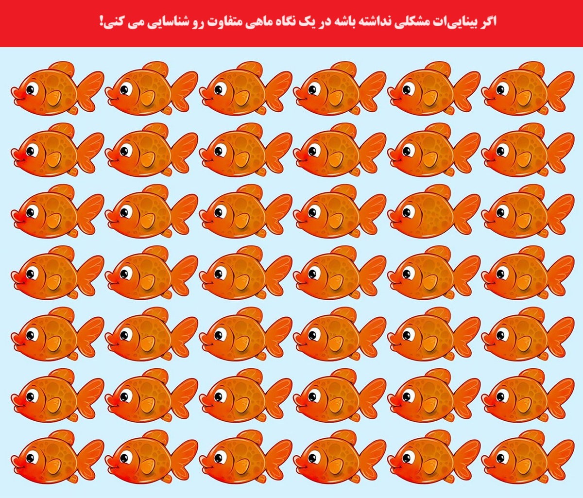 آزمون قدرت بینایی با ماهی متفاوت-1