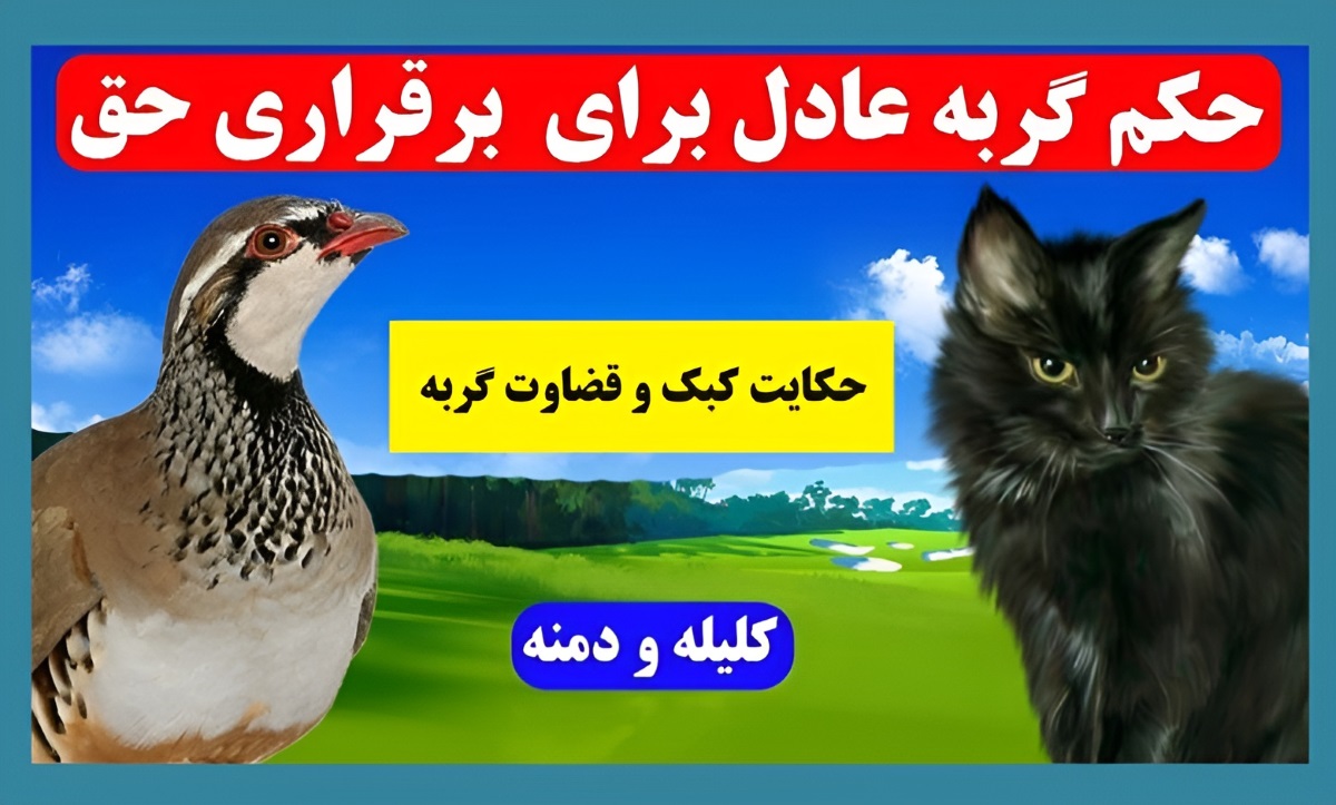 حکایت کبک و قضاوت گربه