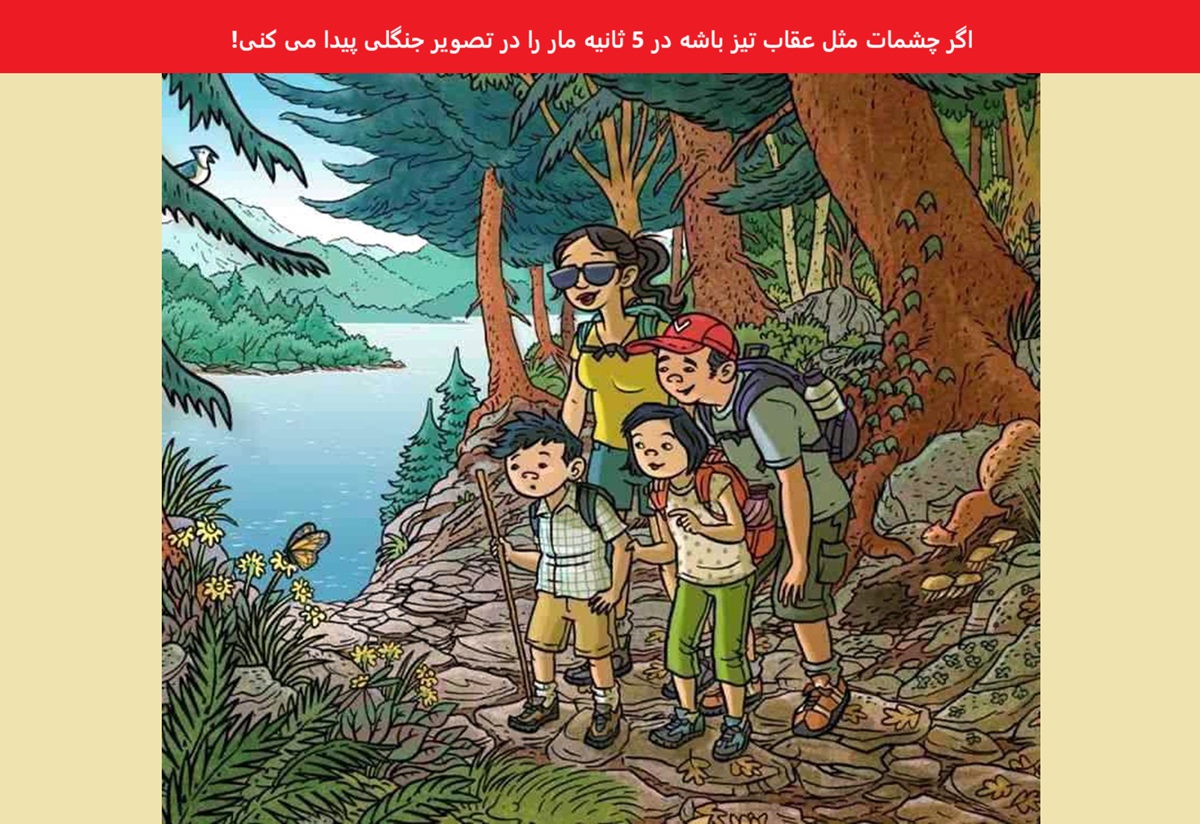 آزمون شناسایی مار در جنگل