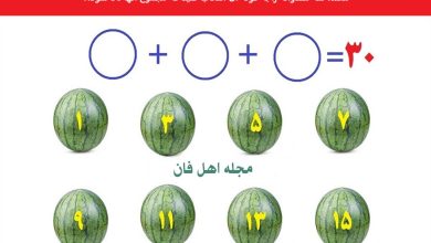 معمای هوش با وزن هندوانه