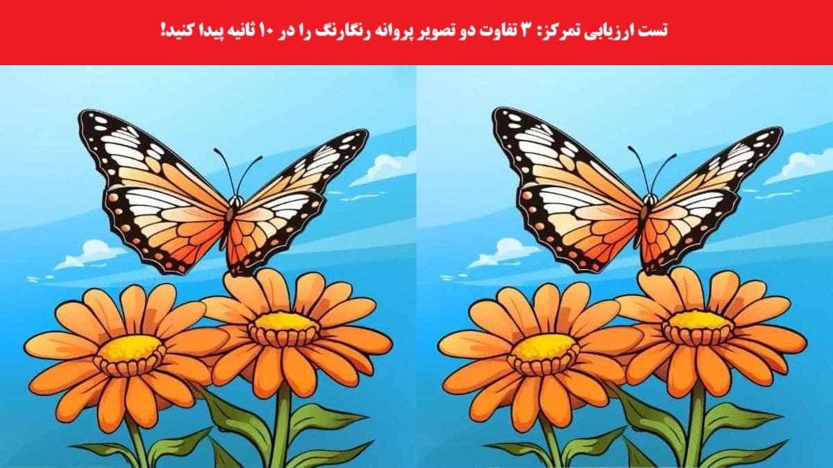 تست ارزیابی تمرکز با شناخت تفاوت ها