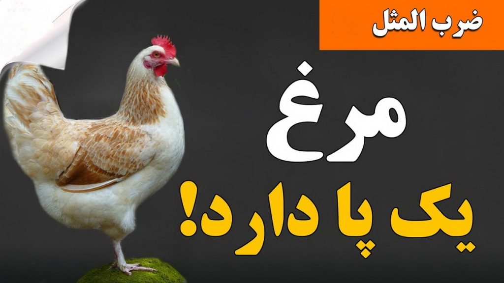 داستان اصطلاح مرغش یک پا دارد-2