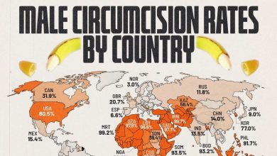 در کدام کشورهای جهان ختنه مردان بیشتر انجام می‌شود؟ + نقشه