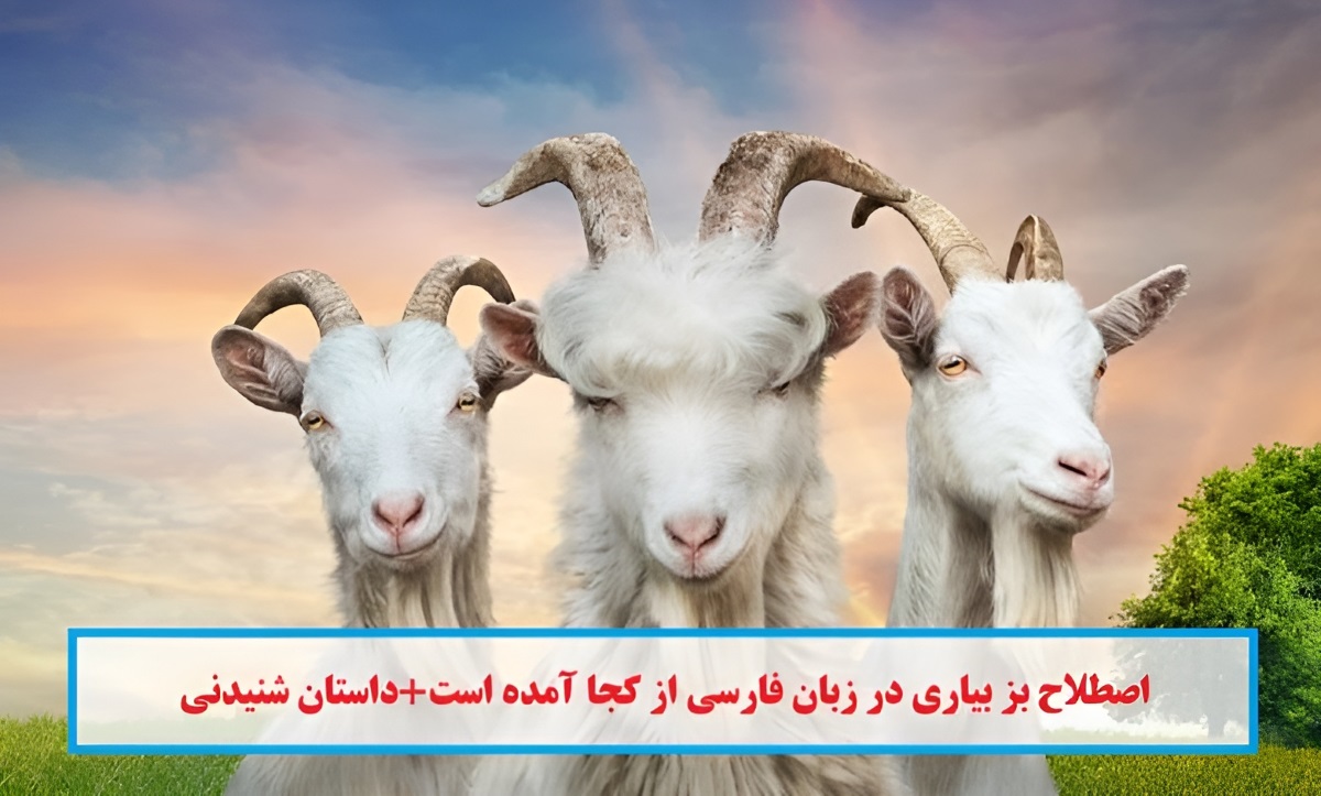 اصطلاح بز بیاری