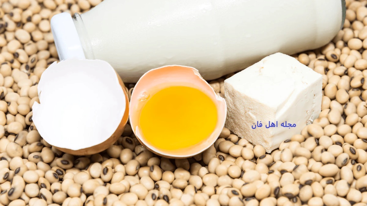 بهترین منابع پروتئین گیاهی و غیر گوشتی