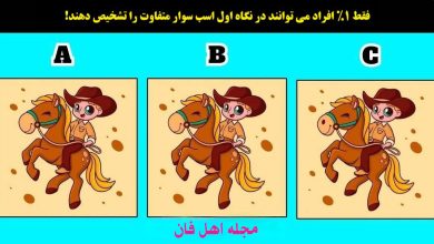 تست تمرکز با تصویر اسب سوار متفاوت