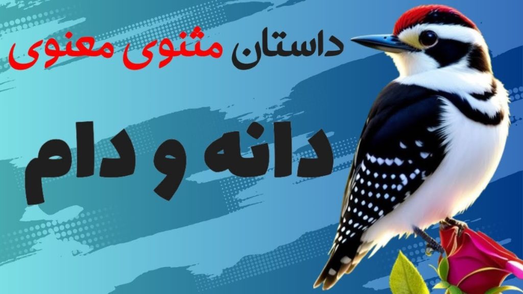 داستان شنیدنی دانه و دام-1