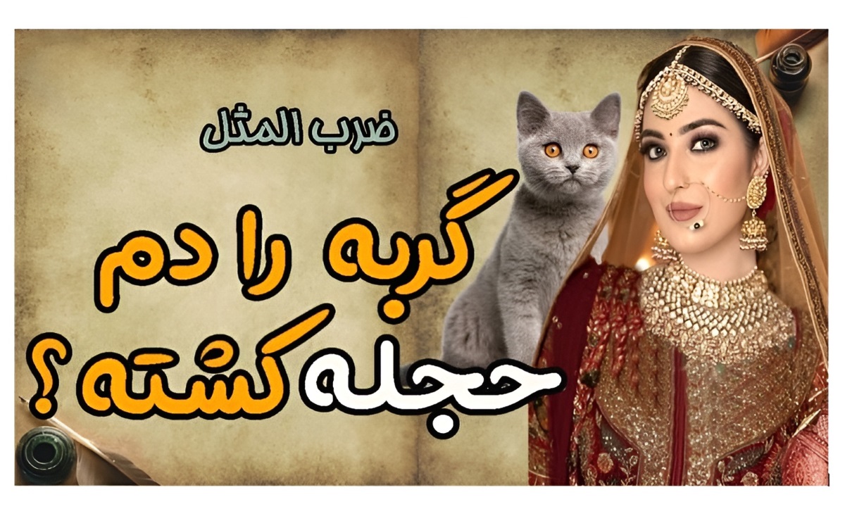 اصطلاح گربه را دم حجله کشتن