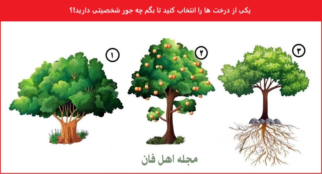 تست شخصیتی با درخت مورد علاقه-1