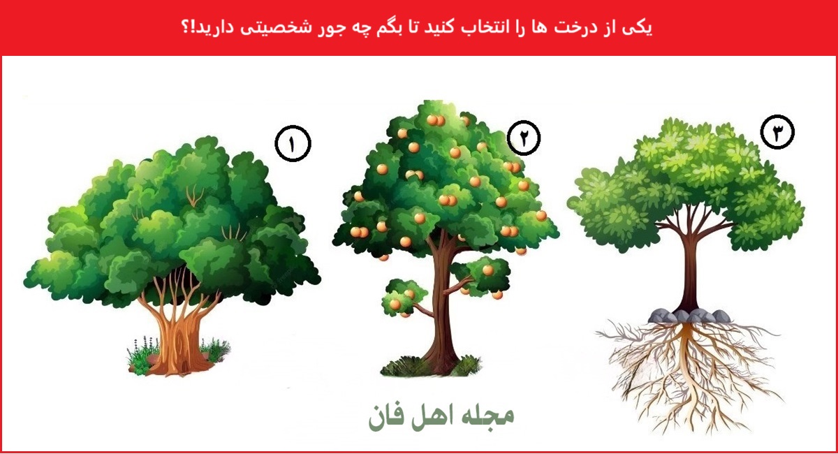 تست شخصیتی با درخت مورد علاقه