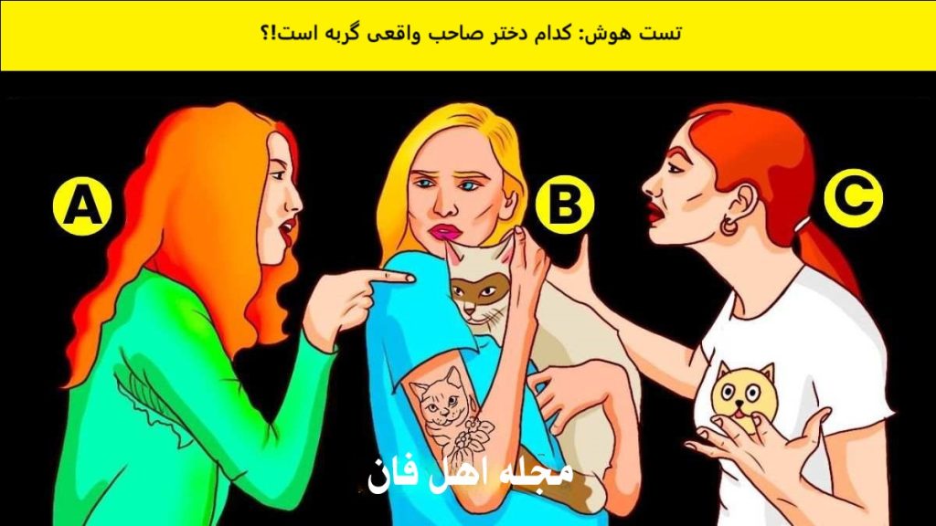 تست هوش با شناسایی صاحب گربه-1