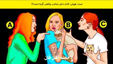 تست هوش با شناسایی صاحب گربه