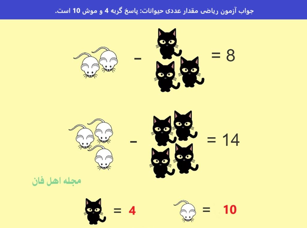 سوال با مقدار عددی موش و گربه-2