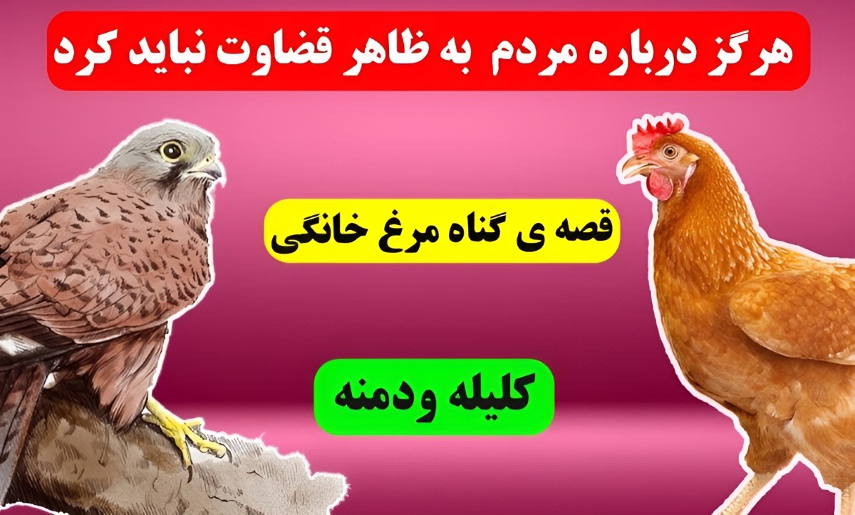 حکایت گناه مرغ خانگی