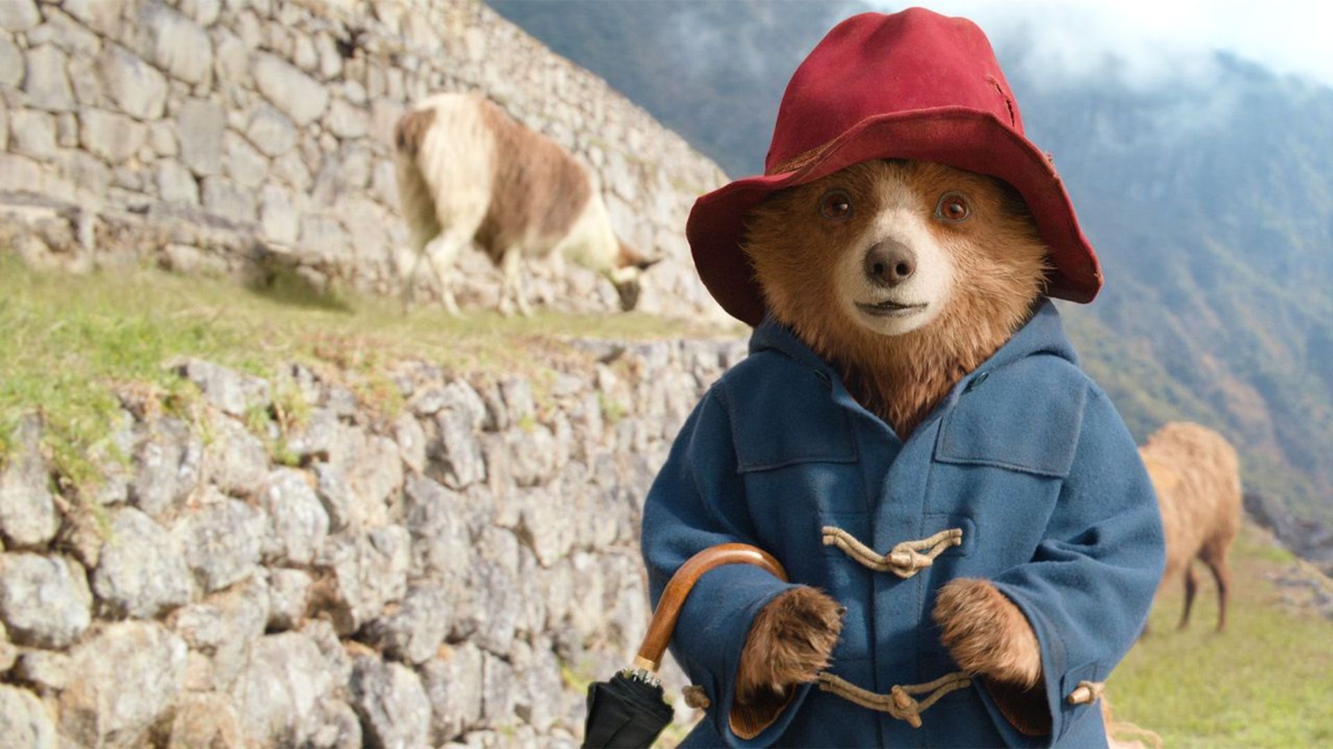 فیلم paddington in peru