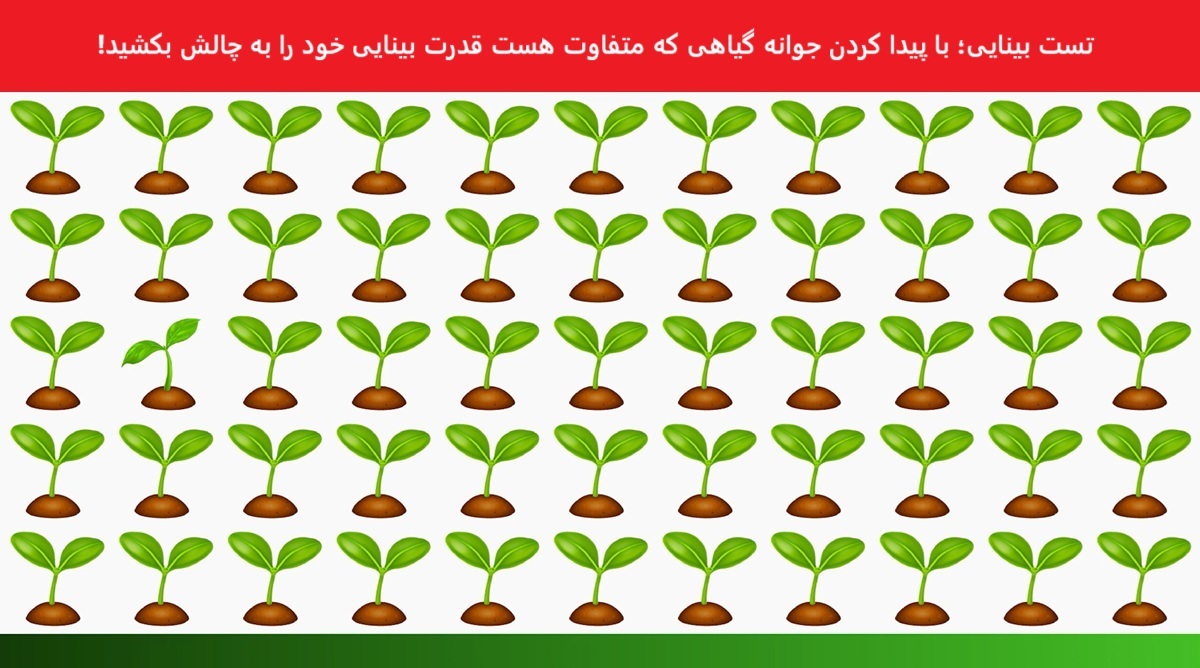 تست بینایی شناسایی جوانه گیاه متفاوت