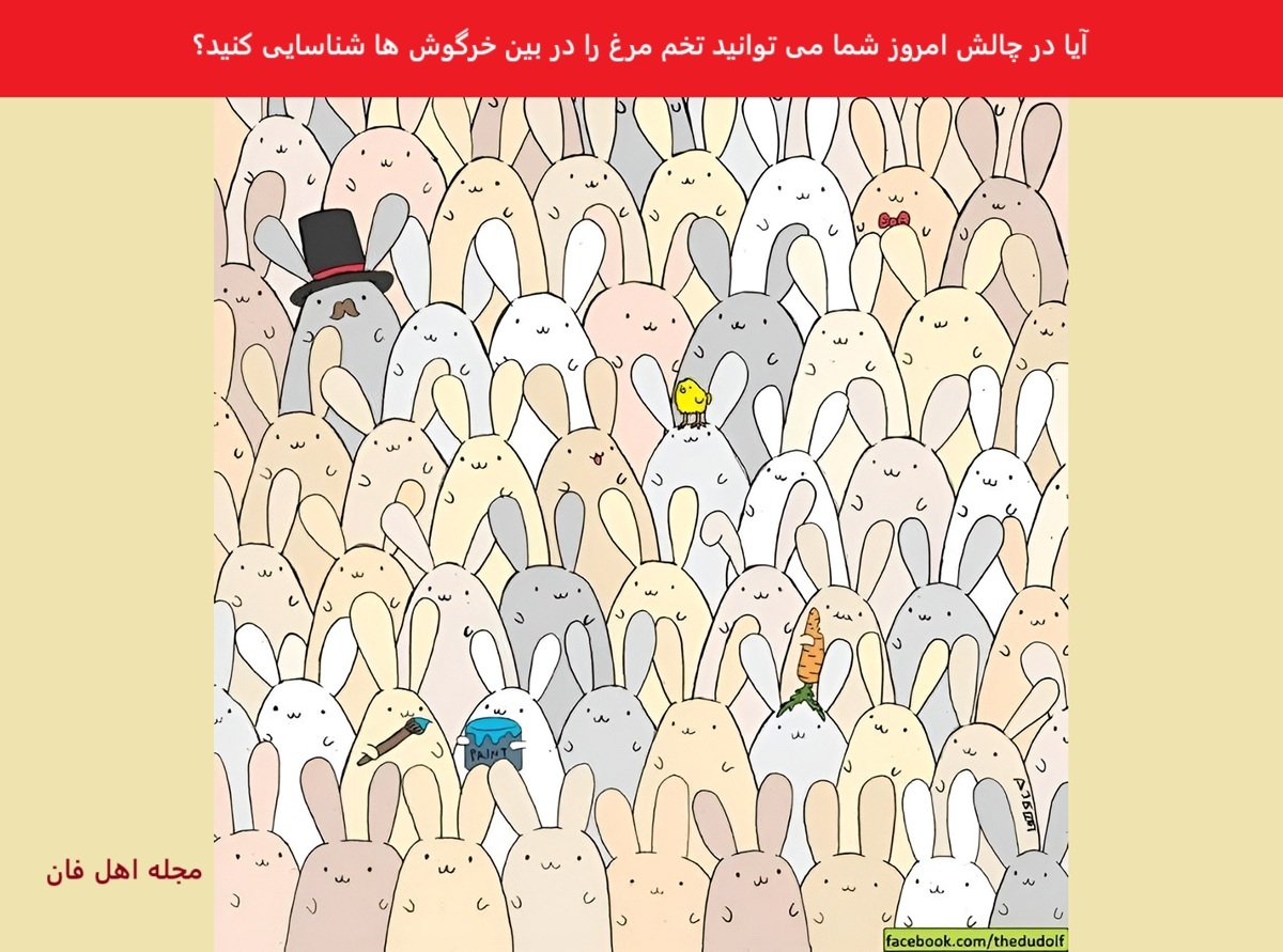 تست بینایی یافتن تخم مرغ میان خرگوش ها