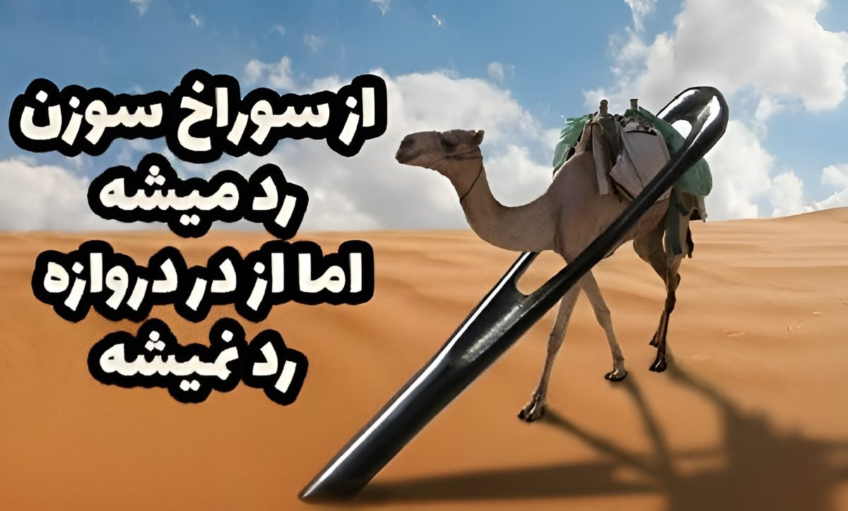 از سوراخ سوزن رد میشه اما از در دروازه رد نمیشه