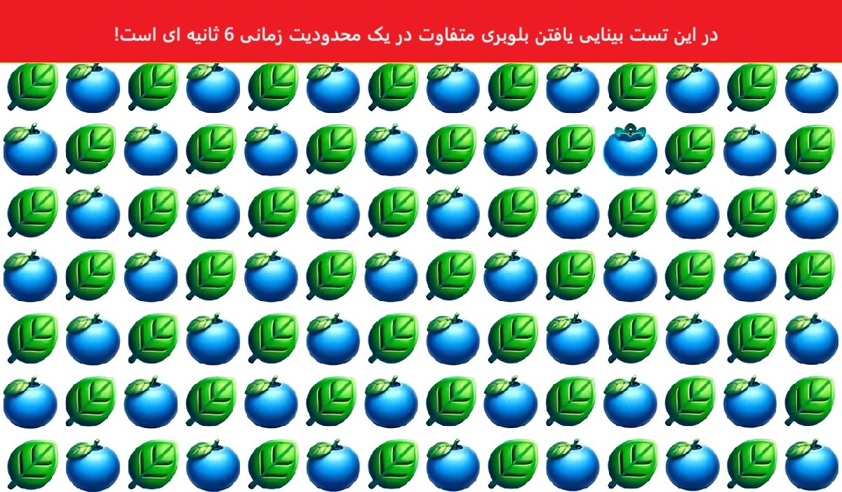 تست بینایی یافتن بلوبری متفاوت