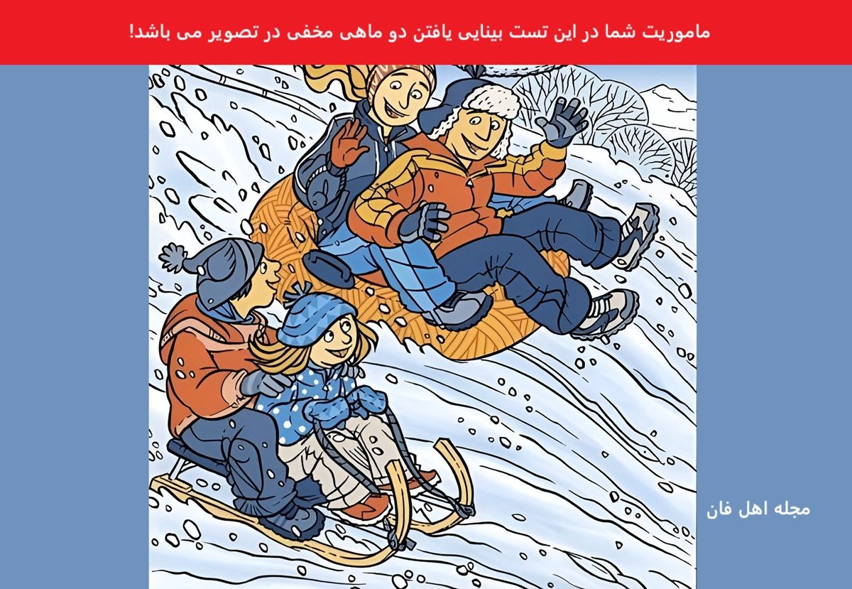 تست بینایی یافتن دو ماهی مخفی