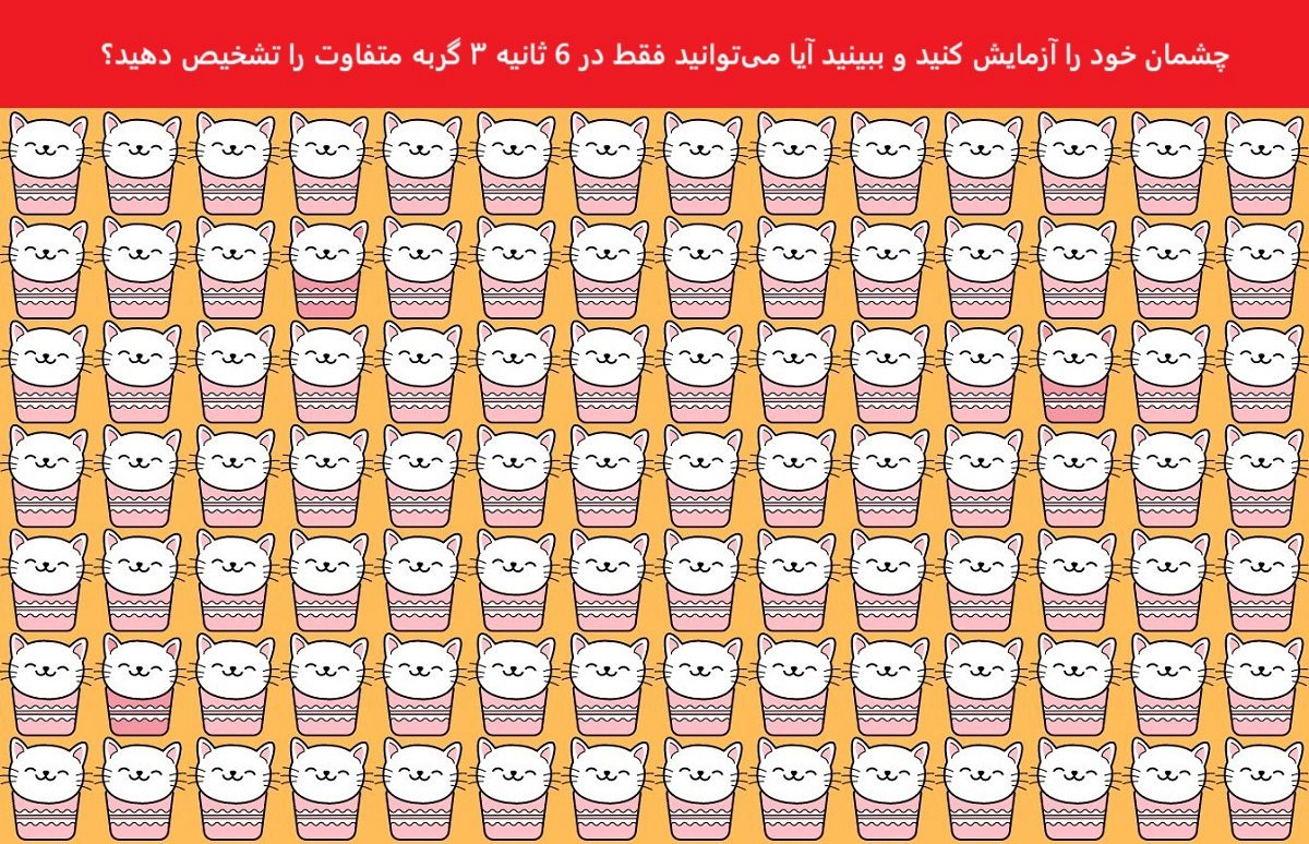 تست بینایی یافتن سه گربه متفاوت
