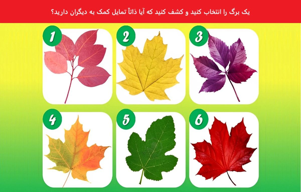 تست شخصیت با برگ ها