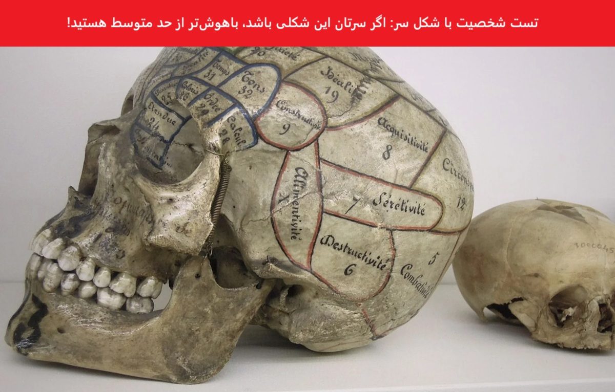 تست شخصیت با شکل سر