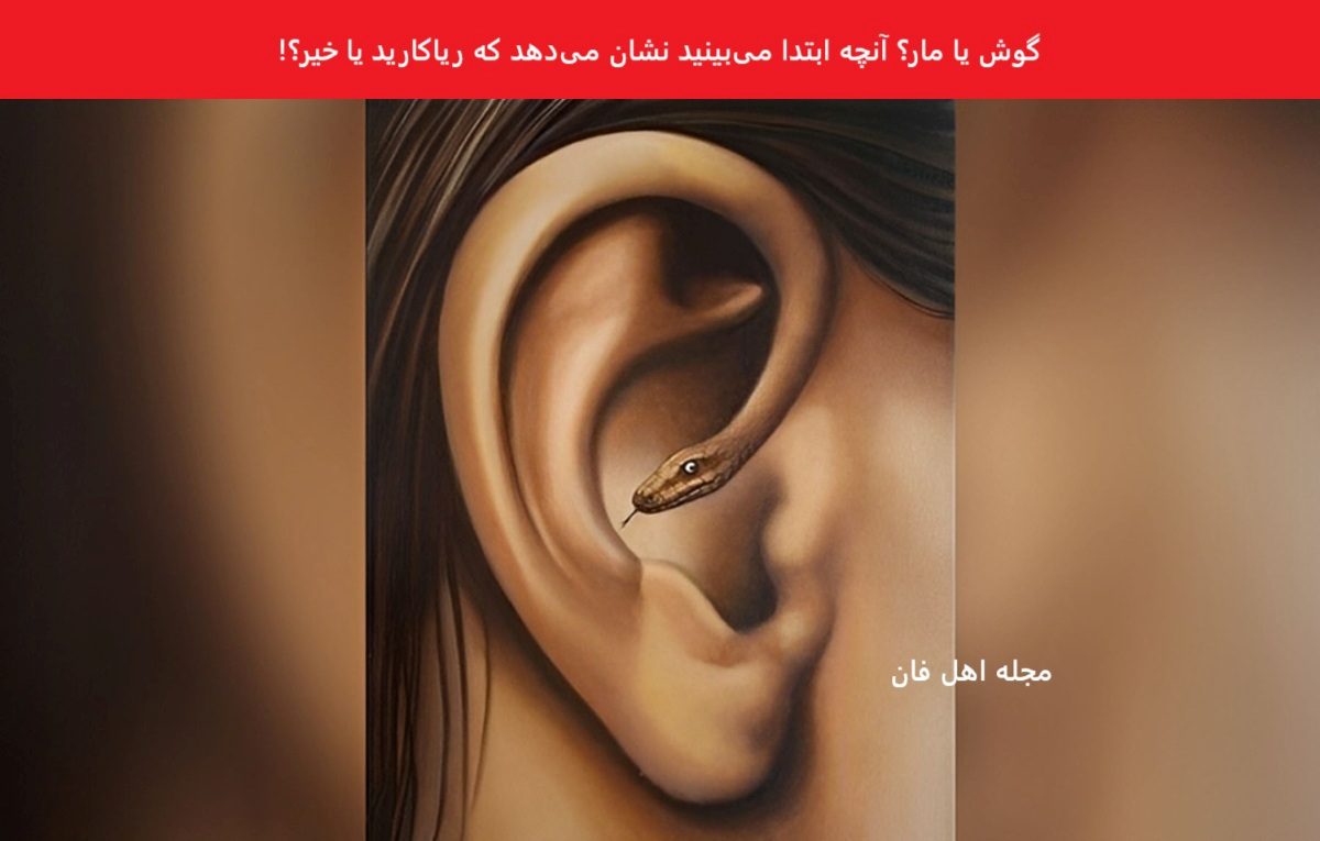 تست شخصیت مار و گوش