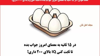 تست هوش تعداد تخم مرغ ها