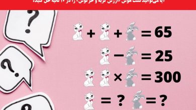 تست هوش ریاضی ارزش گربه و خرگوش
