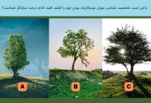 تست شخصیت میزان نوستالژیک بودن