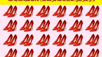 تست بینایی یافتن کفش‌های پاشنه بلند متفاوت