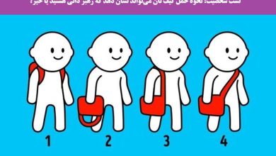 تست شخصیت شناسی با حمل کیف
