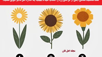 تست شخصیت میزان ماجراجویی فرد