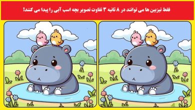 تفاوت تصویری بچه اسب آبی