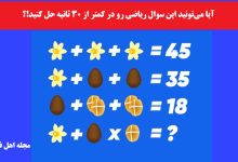 آزمون سوال هوش ریاضی با اشیا مختلف