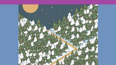 تست بینایی یافتن جن کریسمس میان درختان