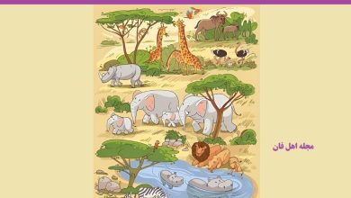 تست بینایی یافتن لاکپشت در ساوانا