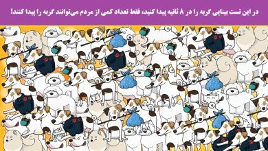 تست بینایی یافتن گربه میان سگ ها
