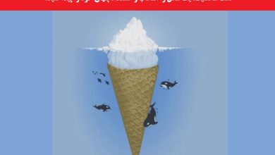 تست شخصیت شناسی تصویری کوه یخ