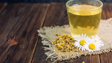 فواید و مضرات بابونه در دوران بارداری