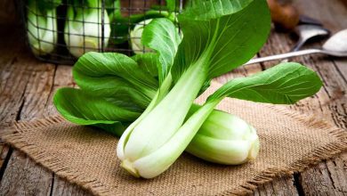 فواید کلم بوک چوی چینی و عوارض آن