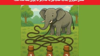معمای تصویری جذاب